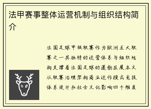 法甲赛事整体运营机制与组织结构简介